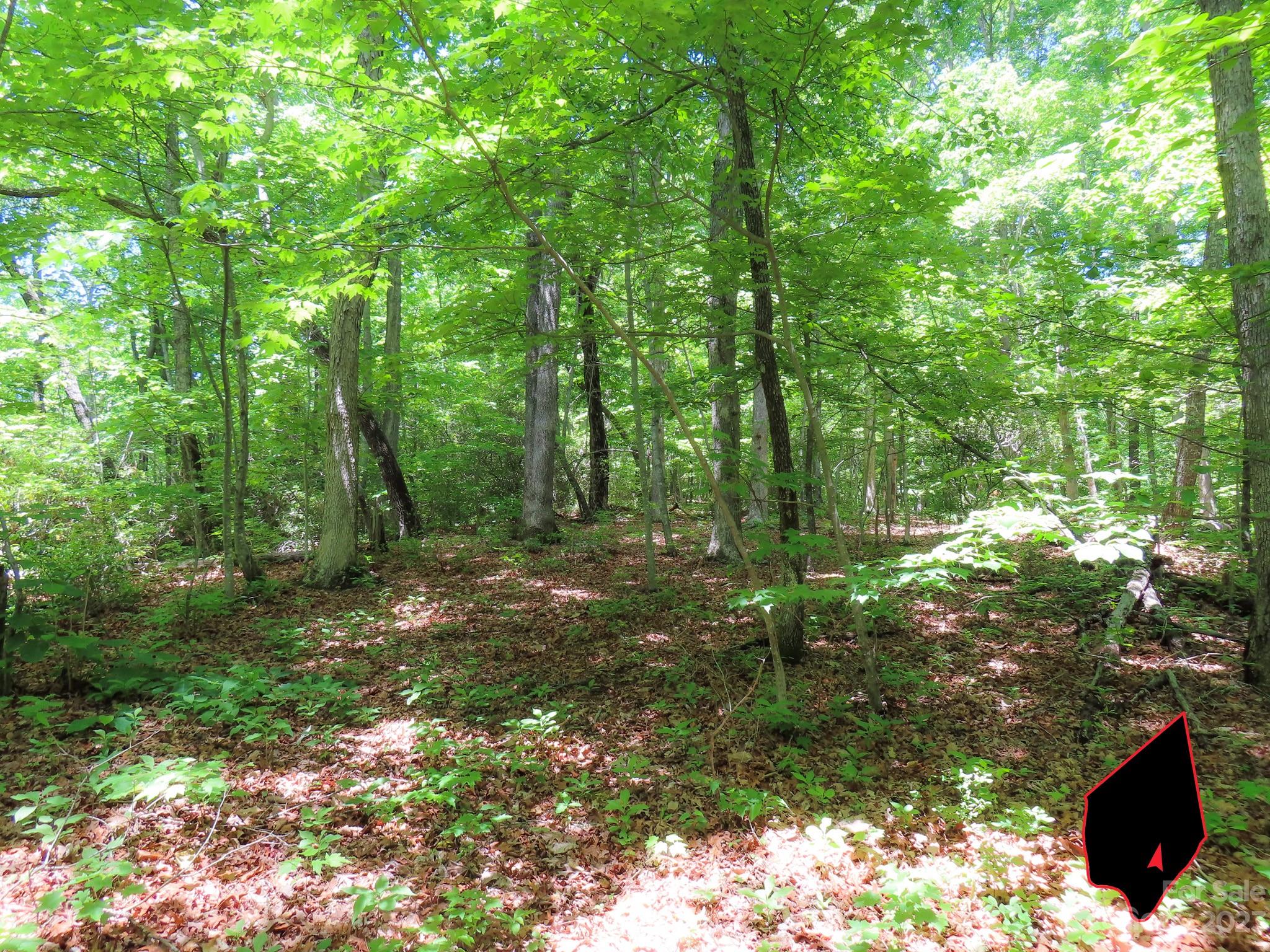 Grants Mountain Estates - Land