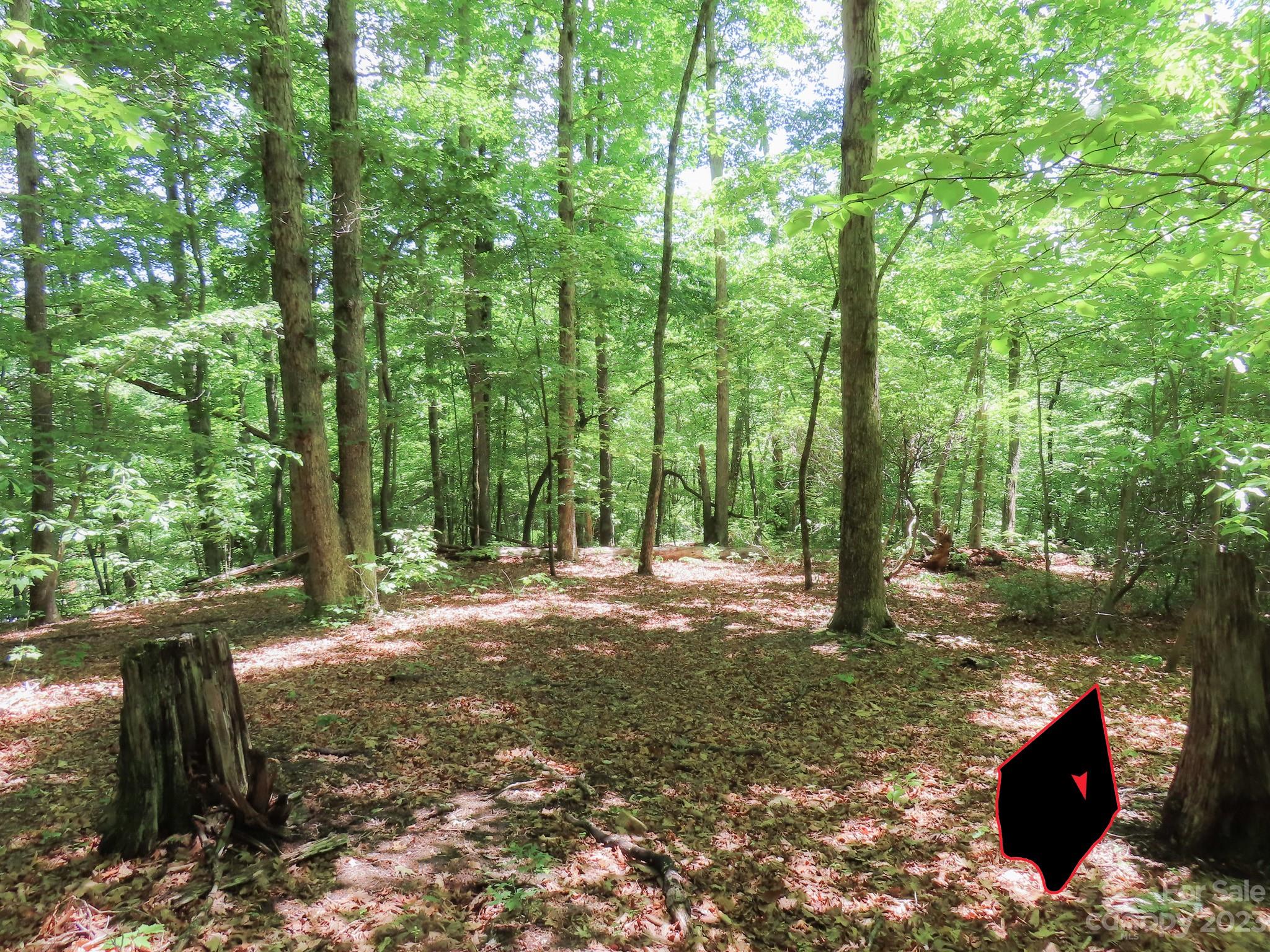 Grants Mountain Estates - Land