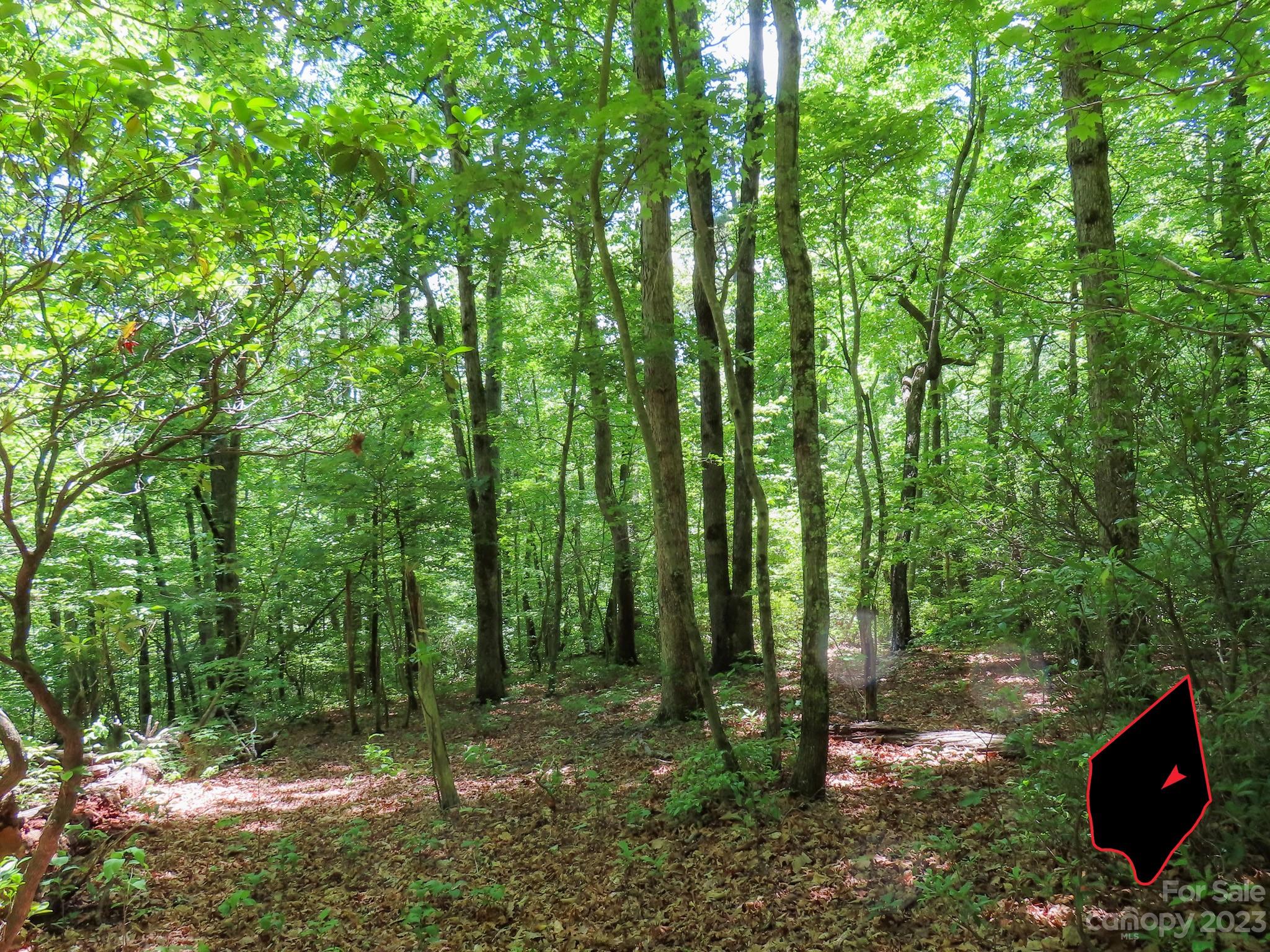 Grants Mountain Estates - Land