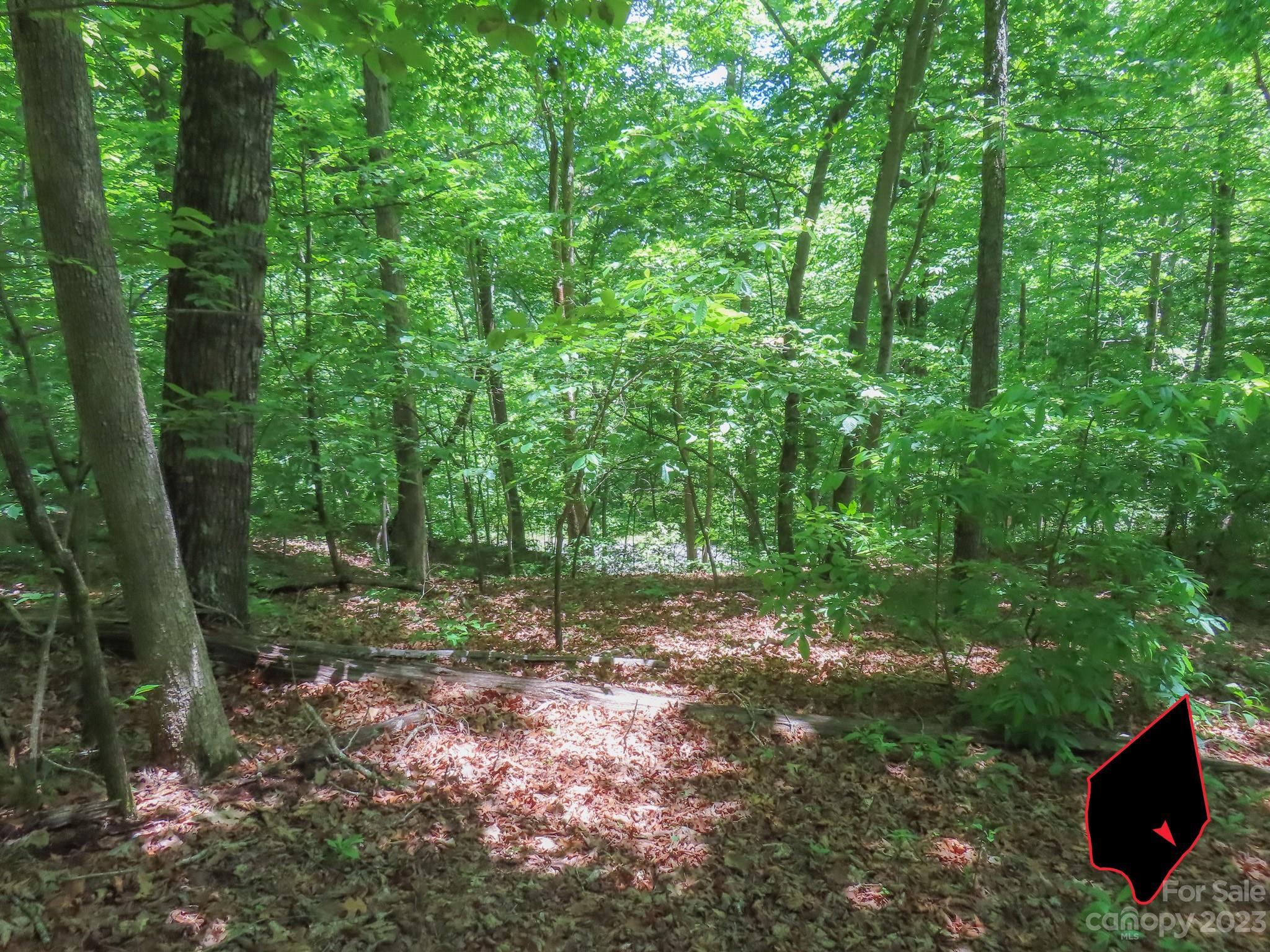 Grants Mountain Estates - Land