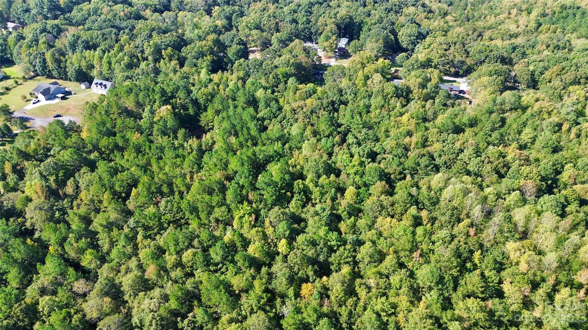 Ellison Woods - Land