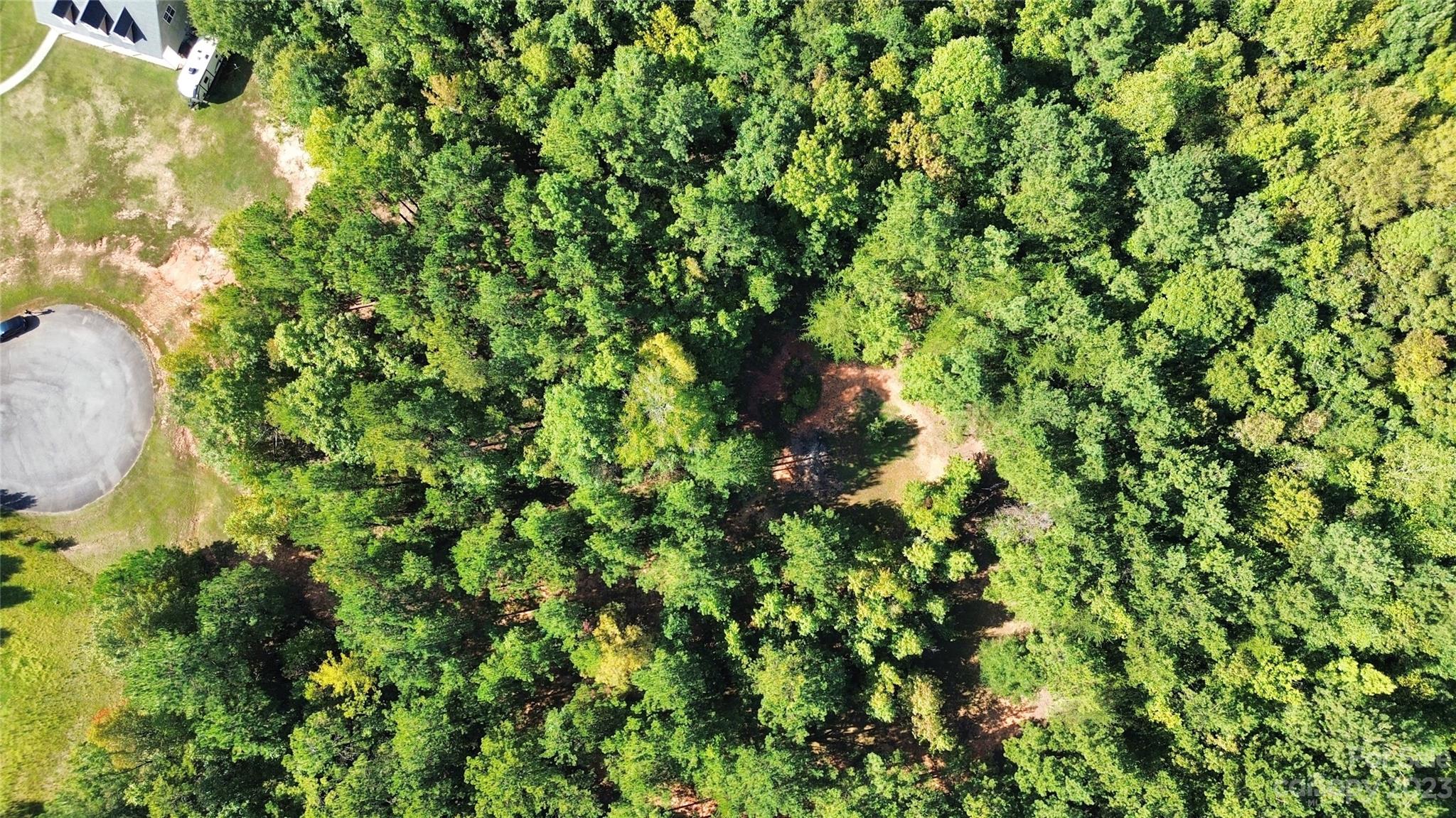 Ellison Woods - Land