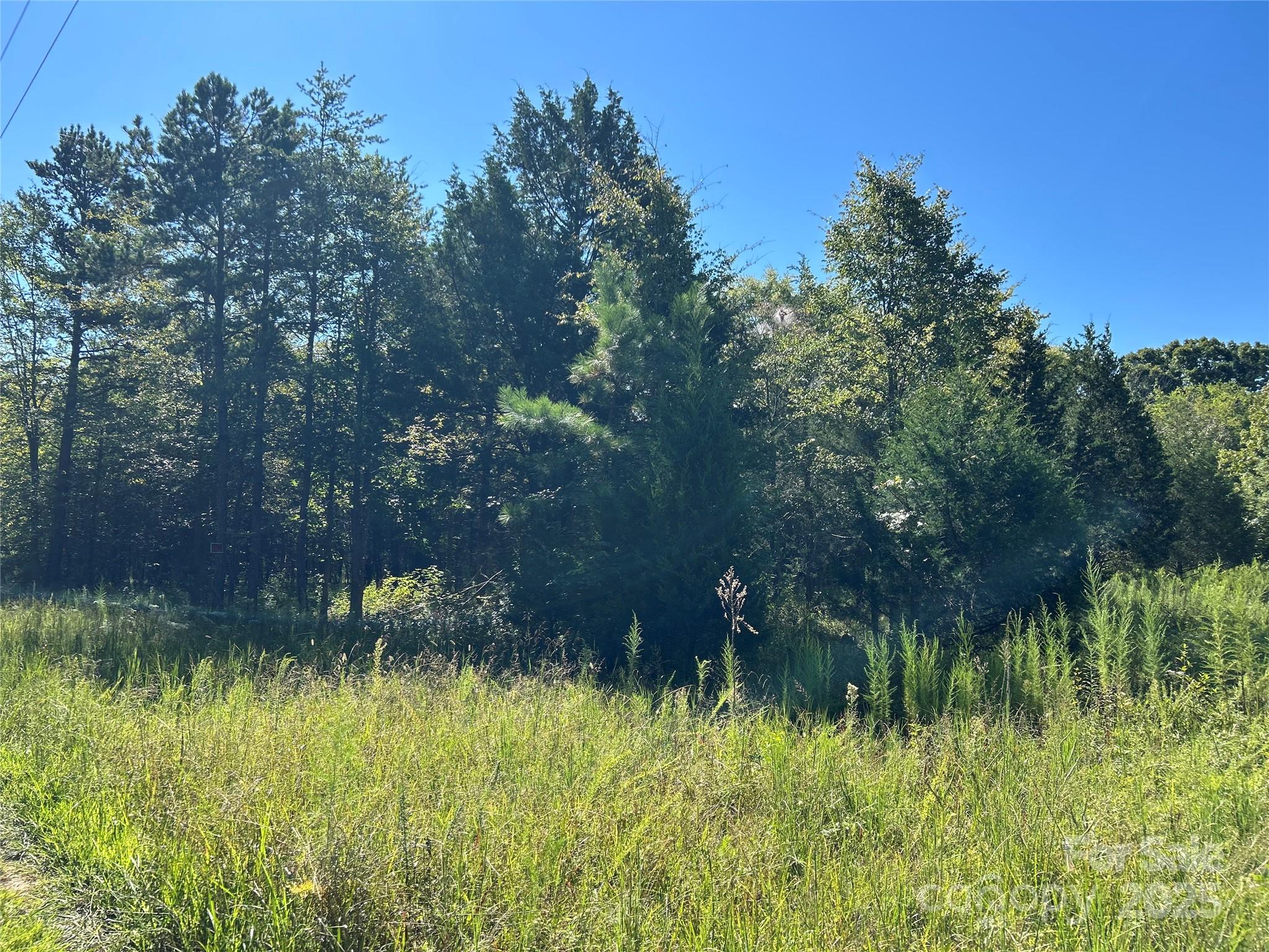 200 Bramblewood Lane