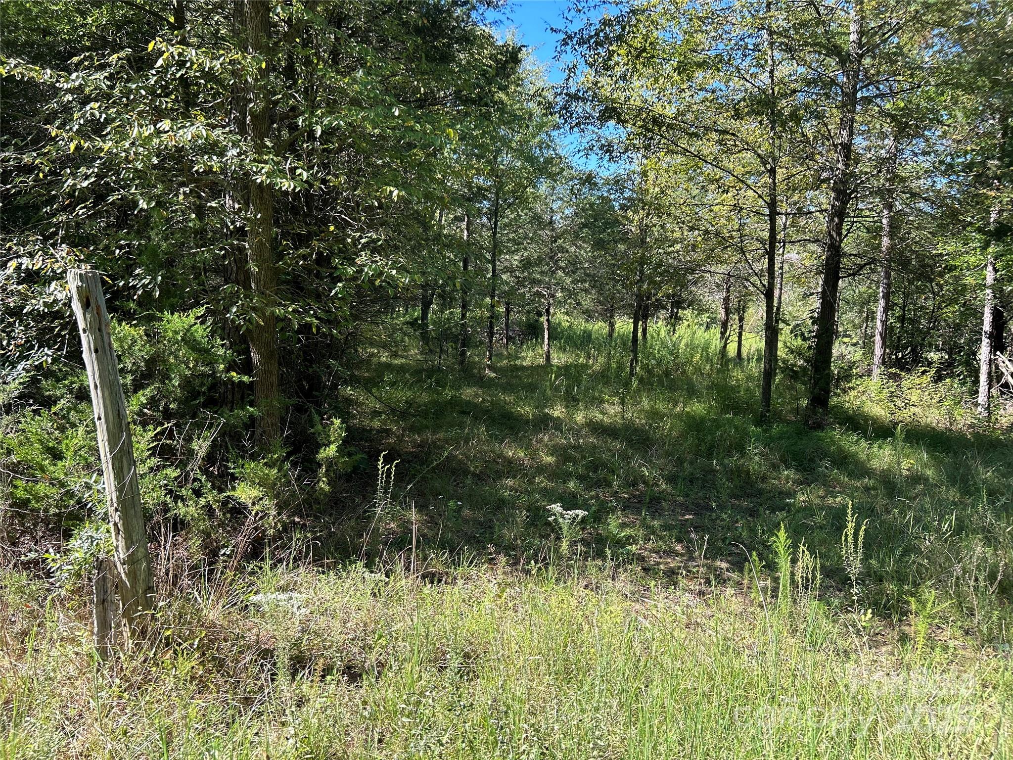 200 Bramblewood Lane