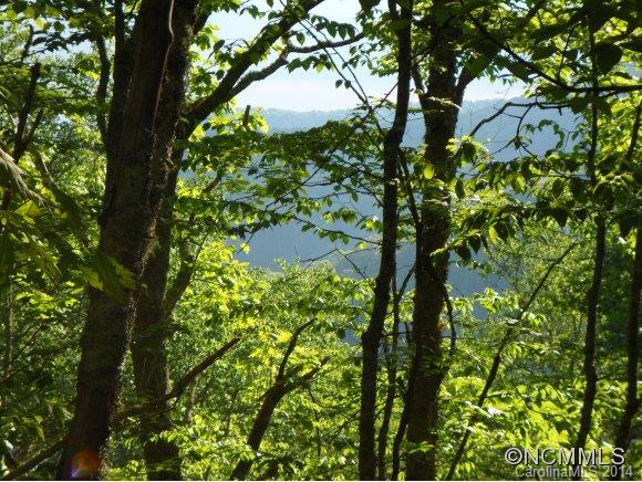 Sheepback Mountain Estates - Land