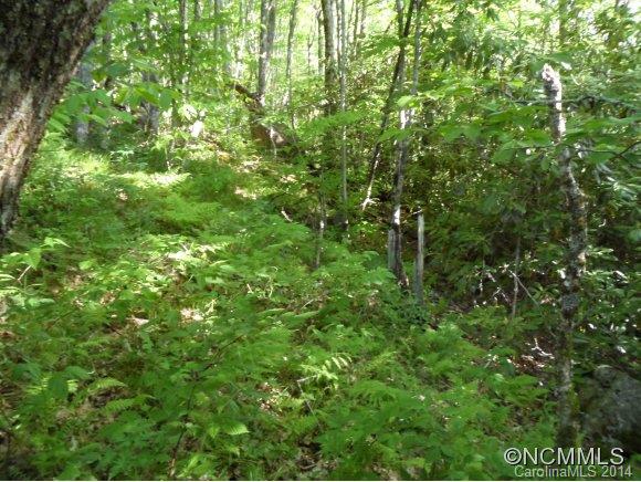 Sheepback Mountain Estates - Land