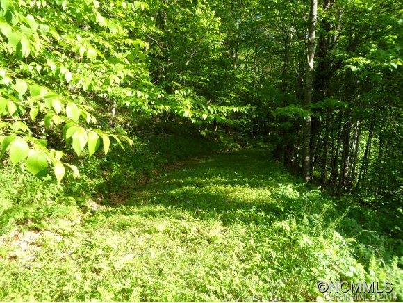 Sheepback Mountain Estates - Land