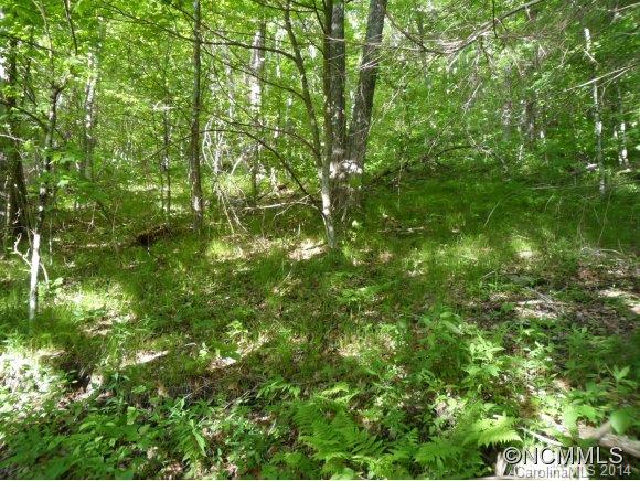 Sheepback Mountain Estates - Land