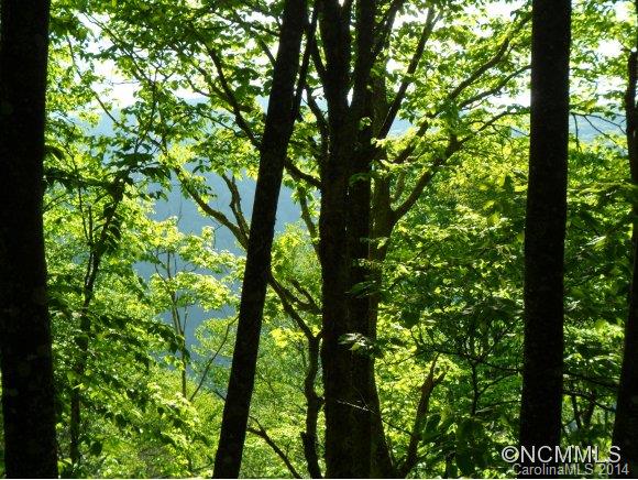 Sheepback Mountain Estates - Land