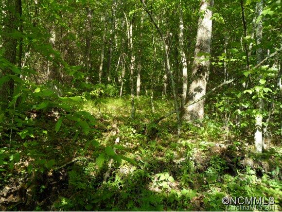 Sheepback Mountain Estates - Land