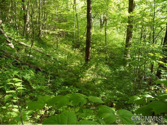 Sheepback Mountain Estates - Land