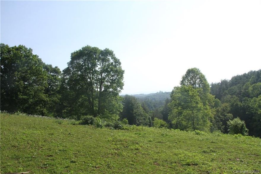 This gorgeous rolling parcel offers privacy, stunning views and convenience to downtown Marshall. This property is partially perimeter fenced and offers several acres of pasture ideal for a horse farm or small cattle operation. Green rolling pastures are surrounded by old hardwood forest, offering both privacy and diversity to this unique property. Several potential homesites, including one on a knoll with views to Mt Mitchell and the Mt Mitchell mountain range. Spring and small barn at entrance