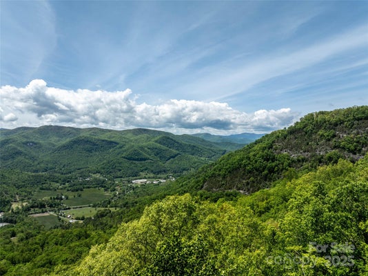 444 WOODRING CEMETERY RD, TUCKASEGEE, NC 28783 - Image fa3ffc80f11eddd286a91173e15cc481/4046578260