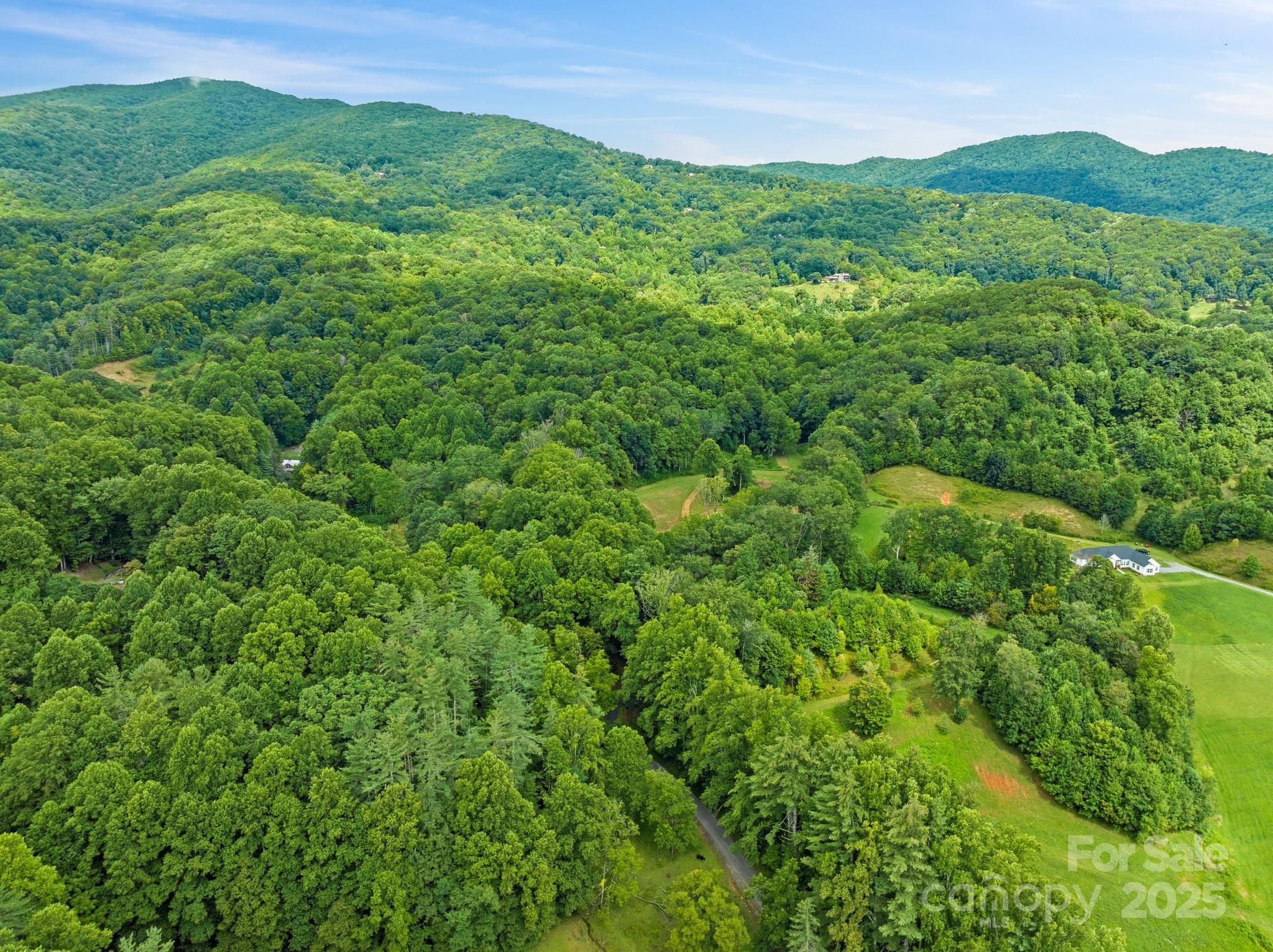 272 Owl Ridge Road