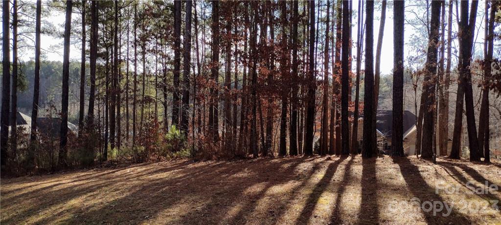 Anchors Landing - Land