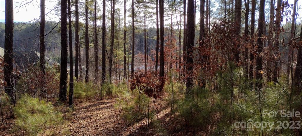 Anchors Landing - Land