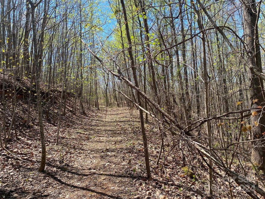 Build your dream home or vacation get-away in the gated, log home community of Hidden Lake! This picturesque community located between the Blue Ridge Mountains & South Mountains of Western N.C. features a private fishing/paddling lake with floating dock, boardwalk, and lakeside park. There is also an outdoor pool w/shower house, as well as hiking trails. SHORT-TERM RENTALS ARE ALLOWED! Lots 8 & 9 offer a very private, level-to-rolling 3.60 acres. All of this located within minutes of I-40 for an easy commute to Asheville or Hickory. Don't wait...Schedule your showing today!