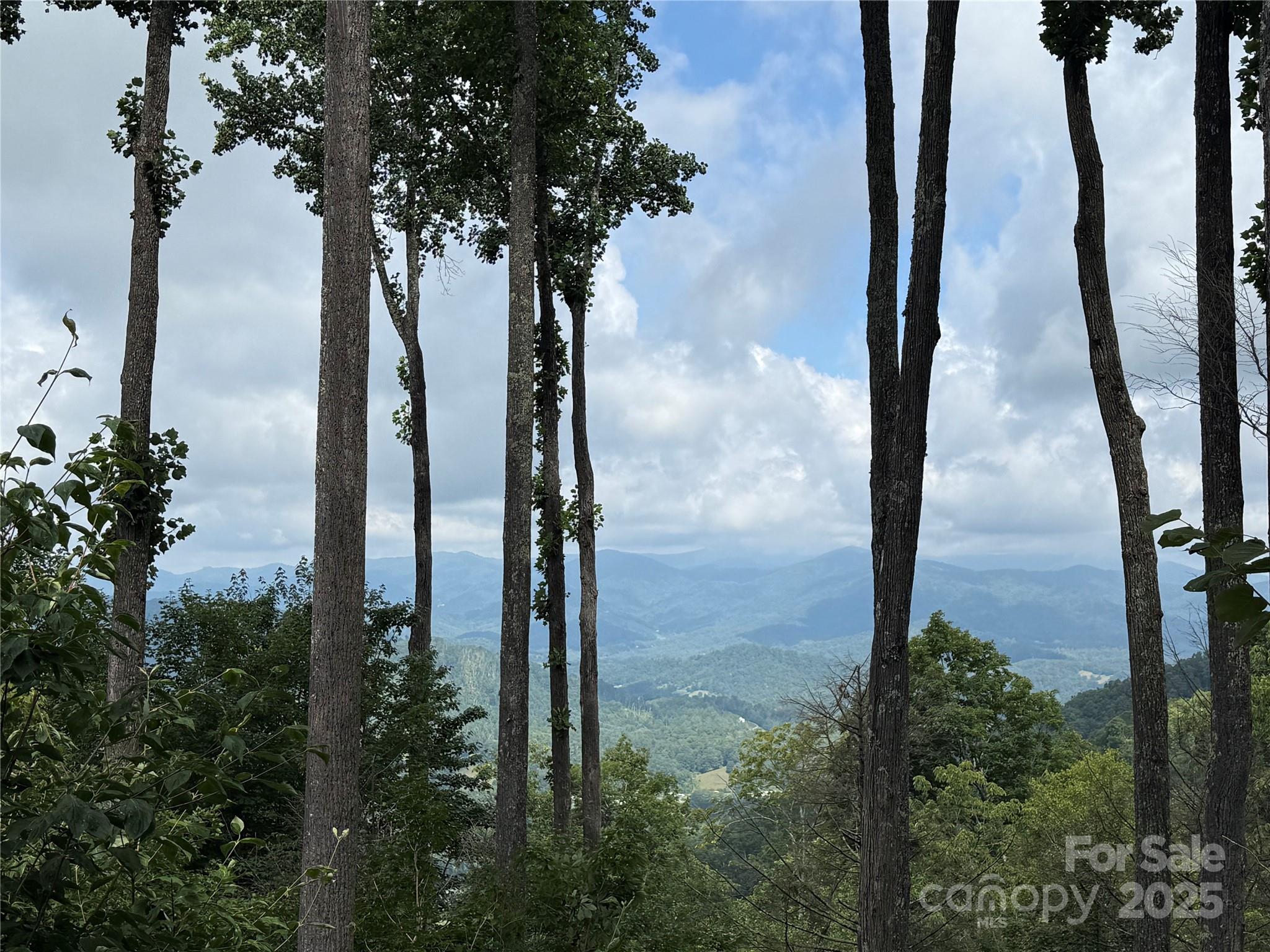 528 Andrew Banks Road A/3