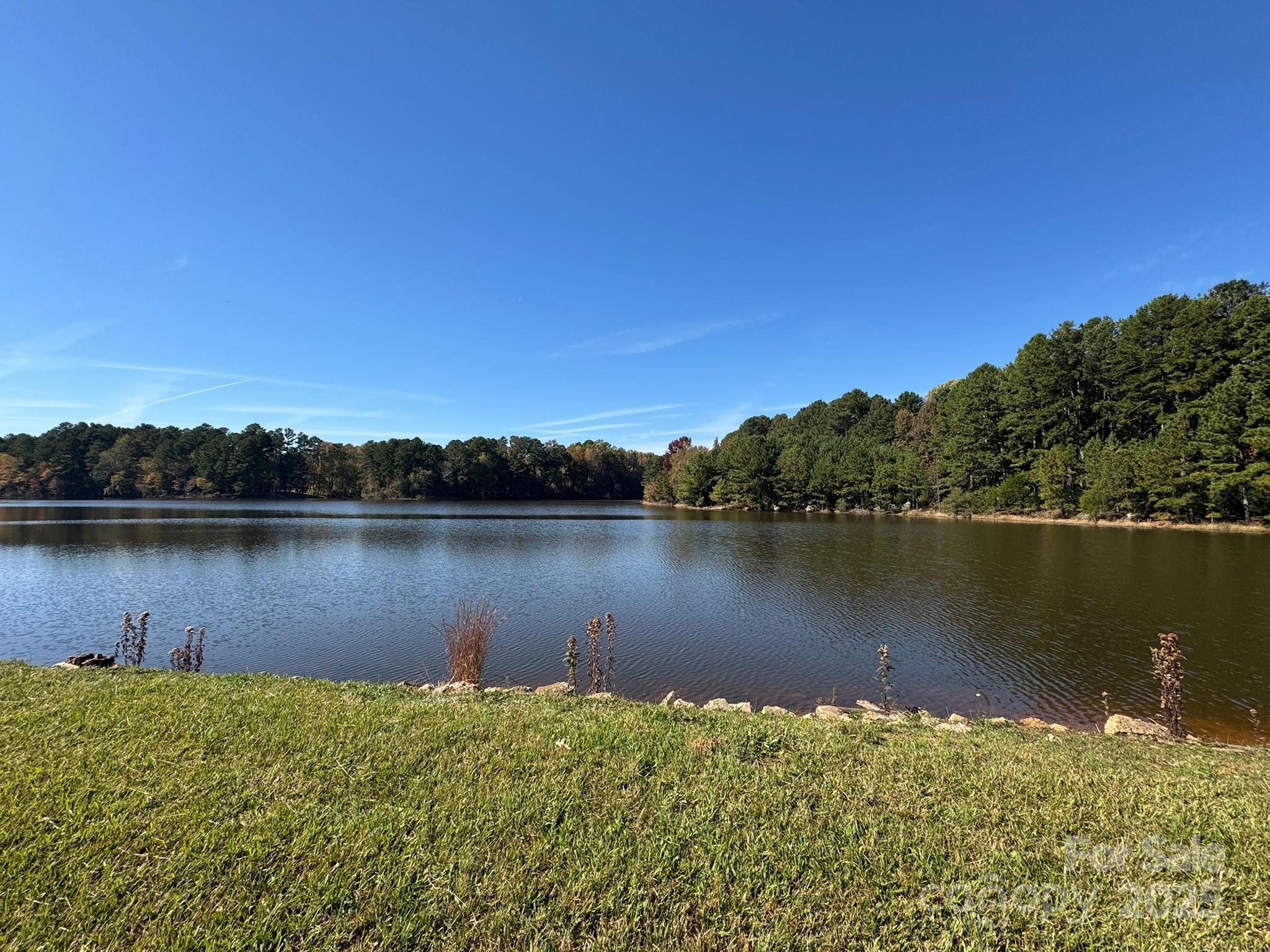 13828 Lake Bluff Drive