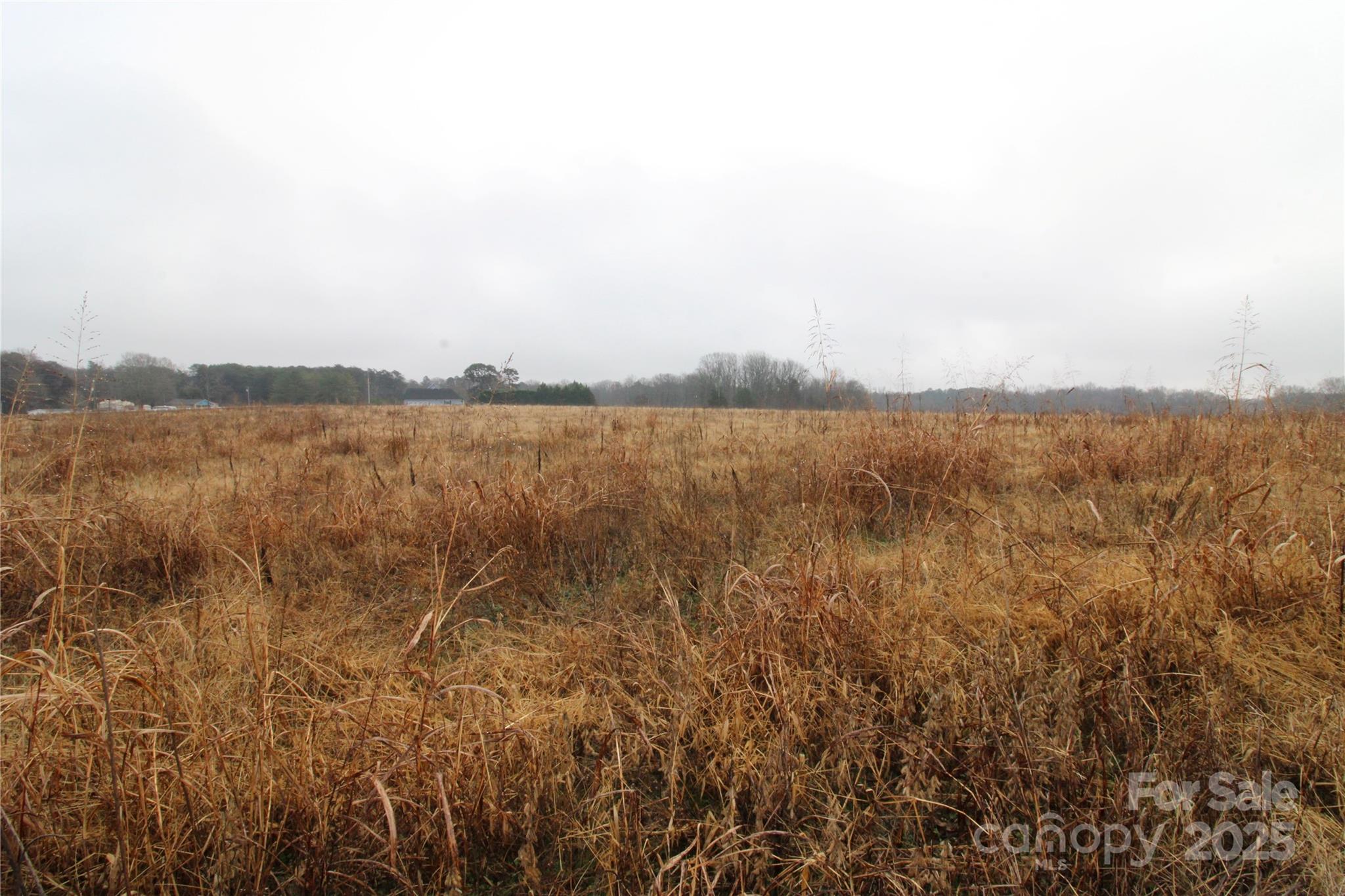 3+/-AC Eaker Road LOT H
