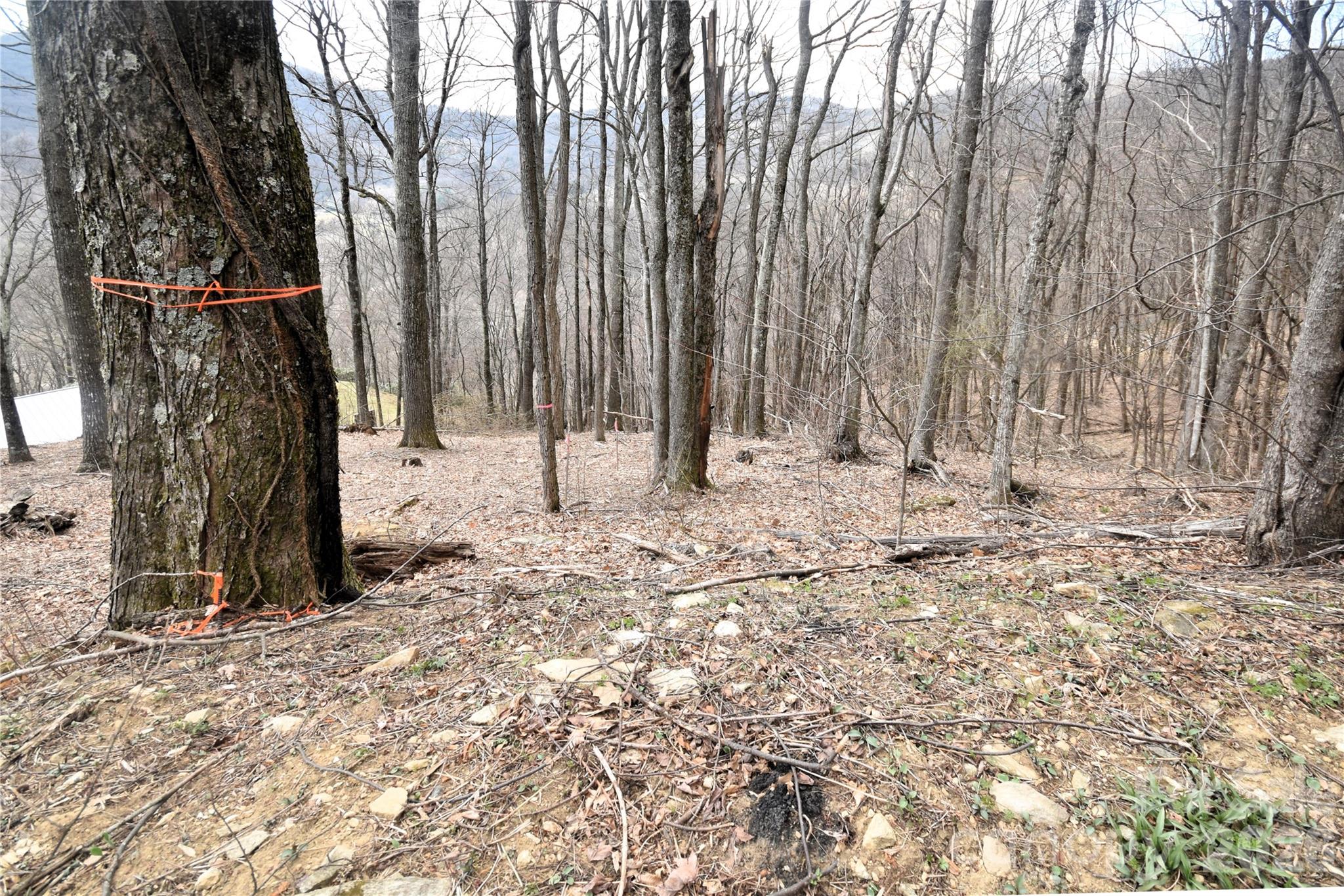 43 Marble Stone Drive 43