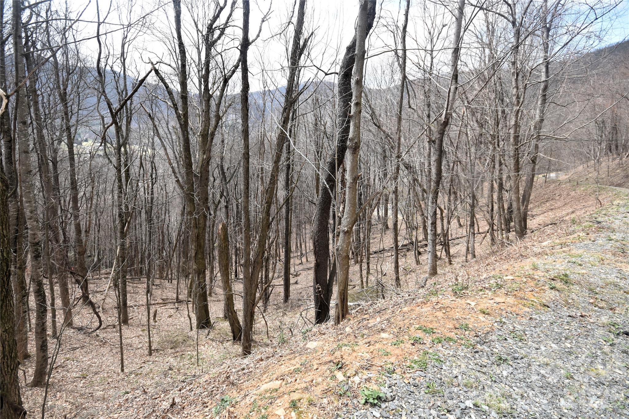 43 Marble Stone Drive 43