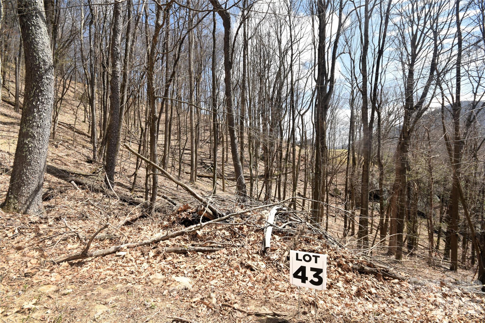 43 Marble Stone Drive 43