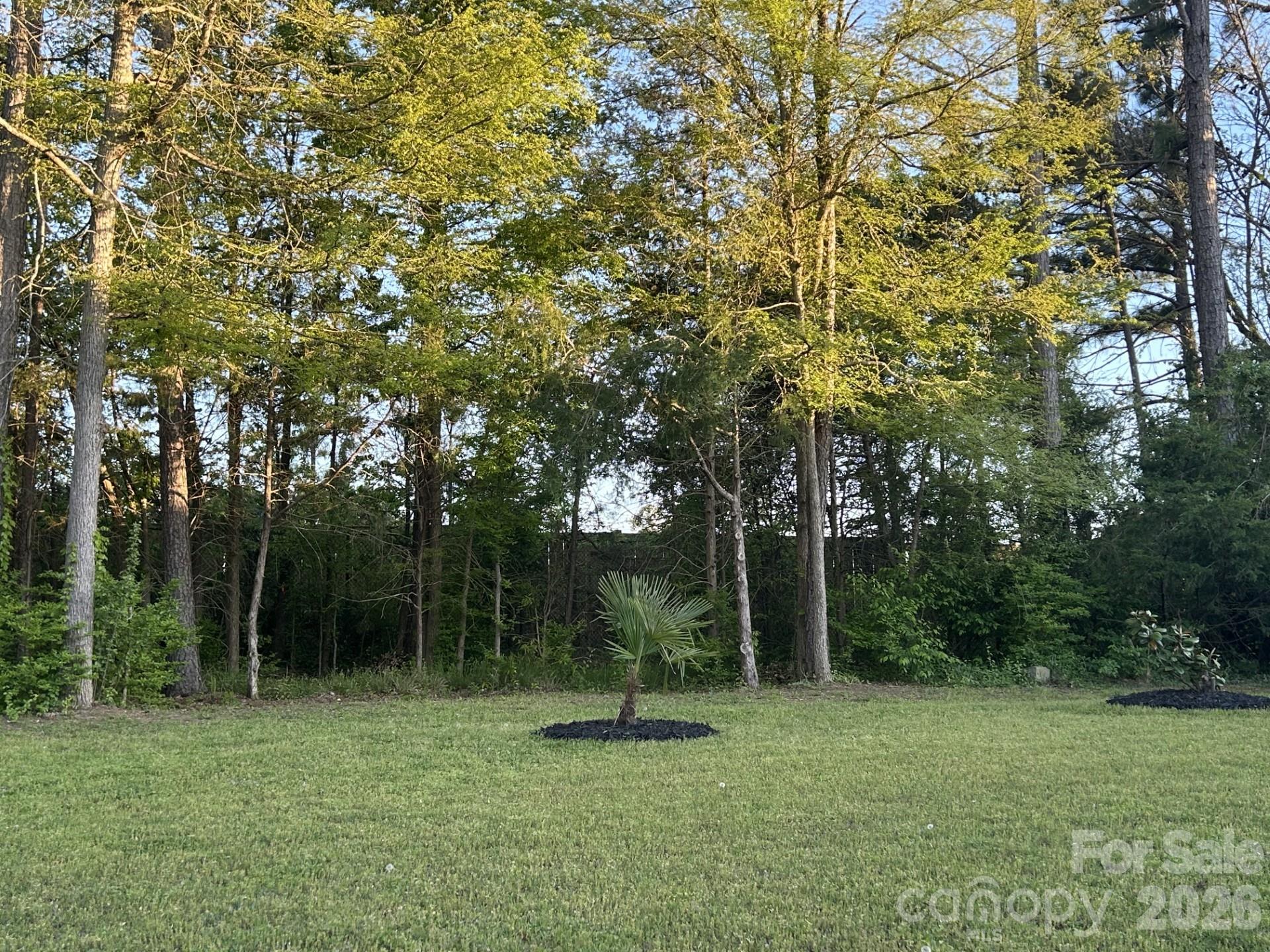 Roddey Park - Residential