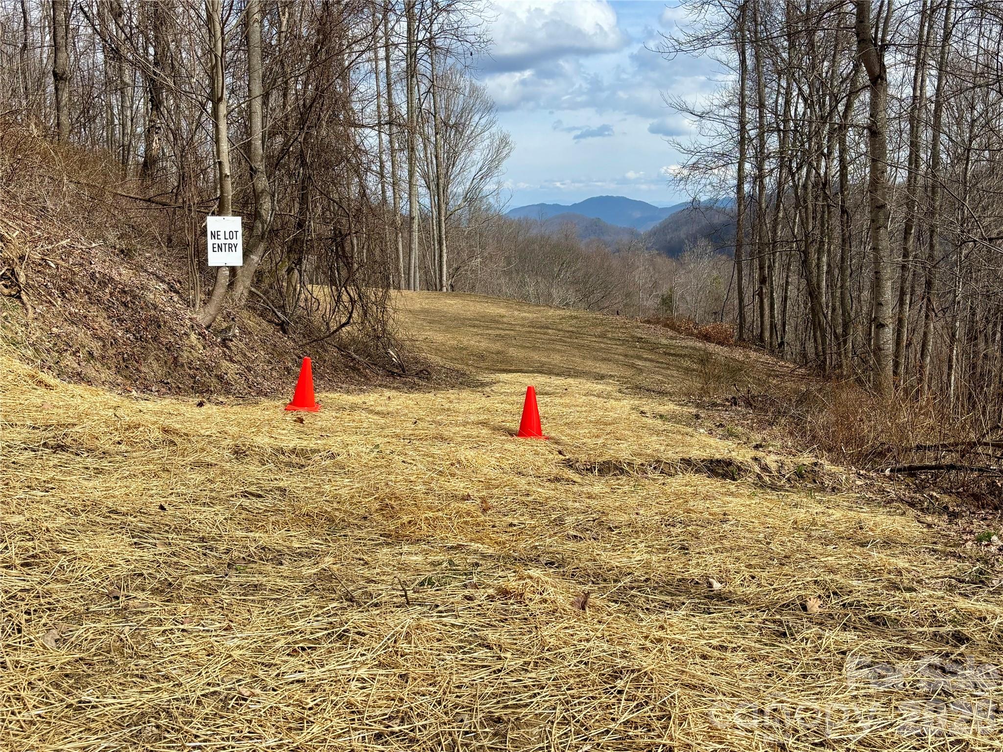 (NE Lot) Meadow Fork Road