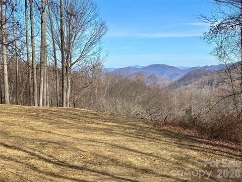 (NE Lot) Meadow Fork Road Hot Springs NC 28743