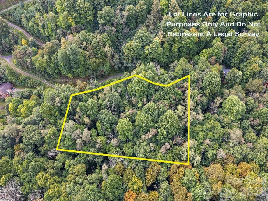Great opportunity to build your dream mountain home in the desirable Settlers Ridge subdivision! This lot features a shared well already on the property and a county-approved septic improvement permit for a 3-bedroom home. Priced below tax value, it offers tremendous value and potential for future homeowners. Conveniently located just 15 minutes from Maggie Valley and 20 minutes from downtown Waynesville, you'll enjoy the beauty and tranquility of the Smoky Mountains while being close to local amenities. With a survey already on file, all that's missing is your vision!