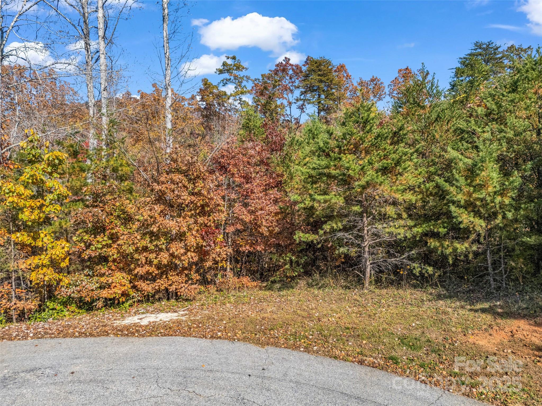 Vista At Bills Mountain - Land