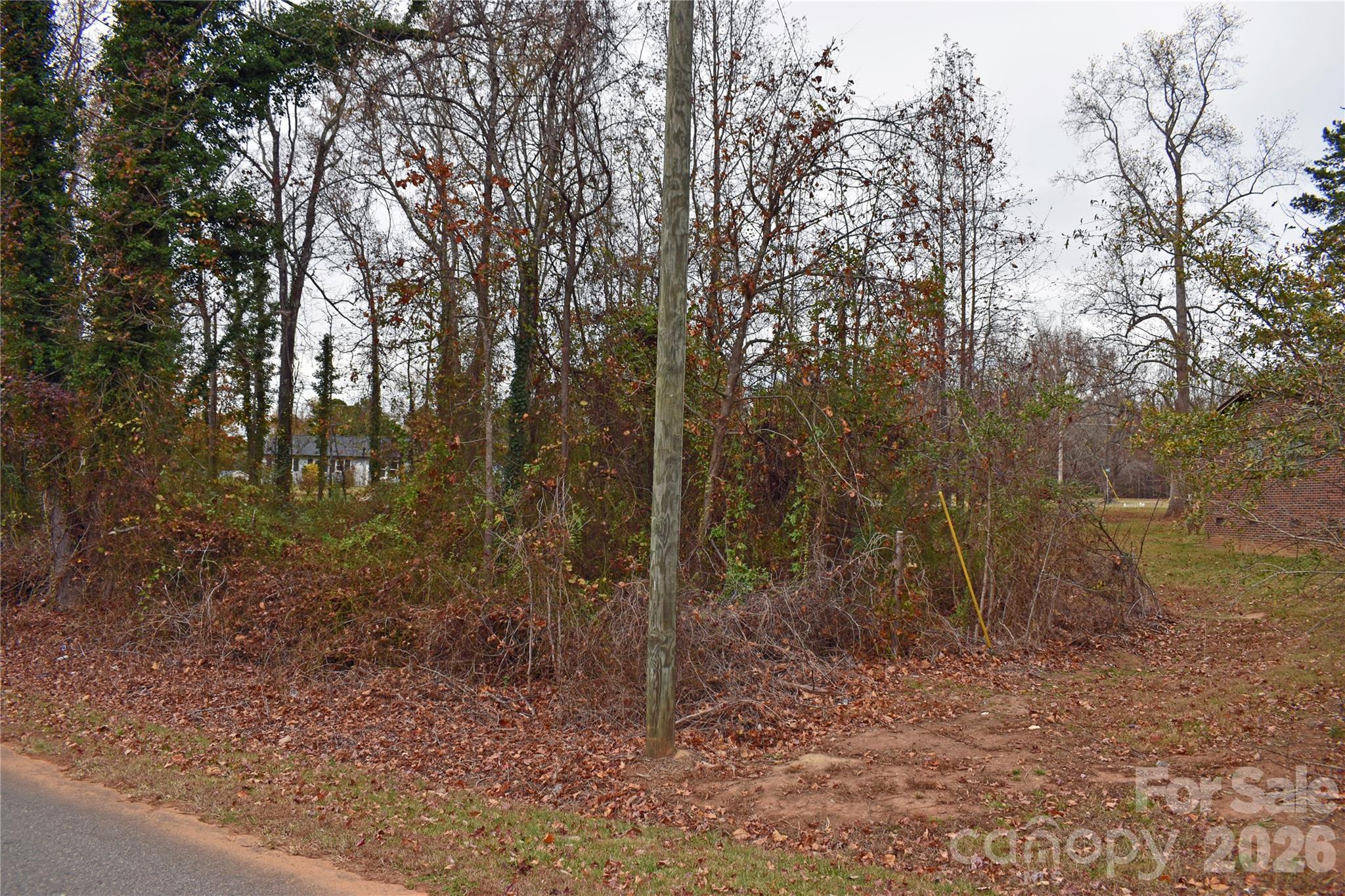 00 Horseshoe Lake Road