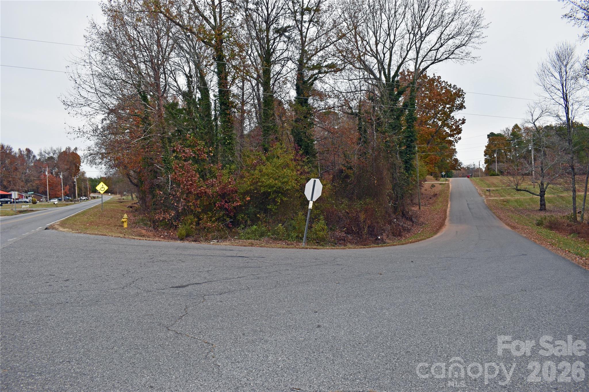 00 Horseshoe Lake Road