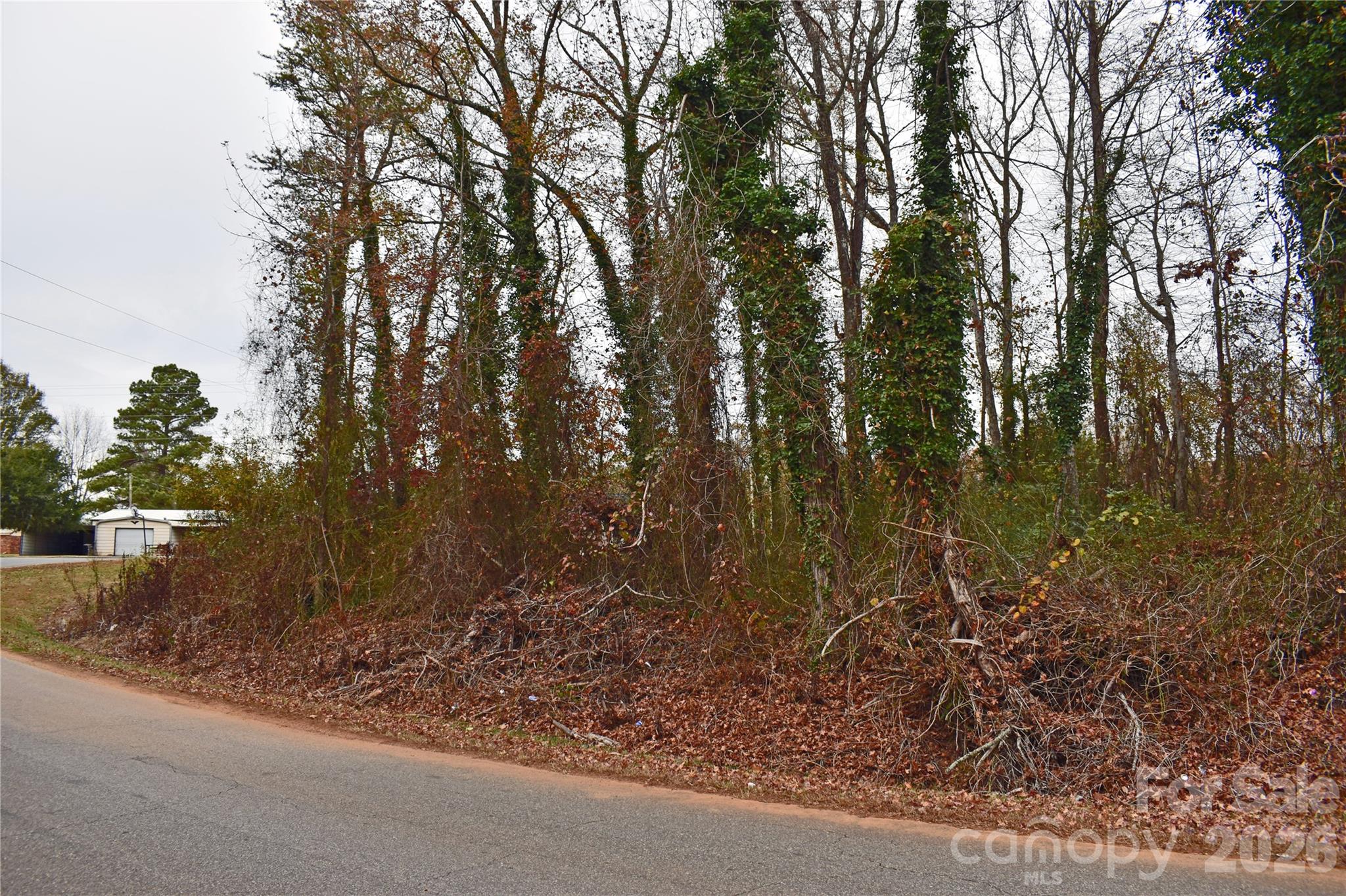 00 Horseshoe Lake Road