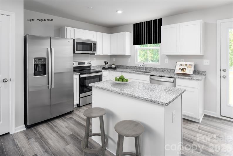 Laney Farms - Residential