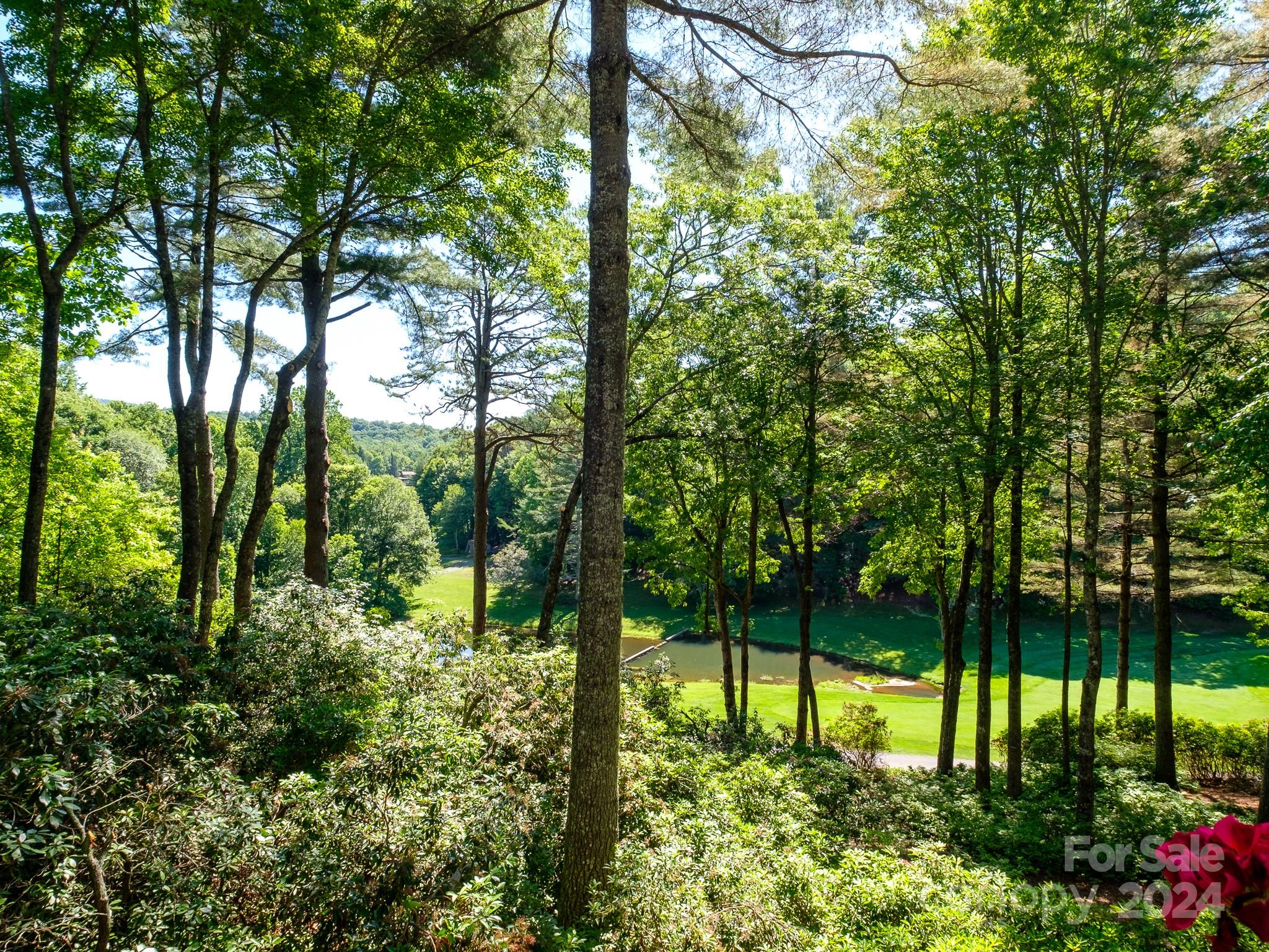 Connestee Falls - Residential