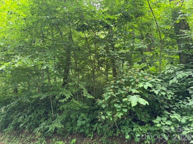 Lot 19 Iga Trail 19
