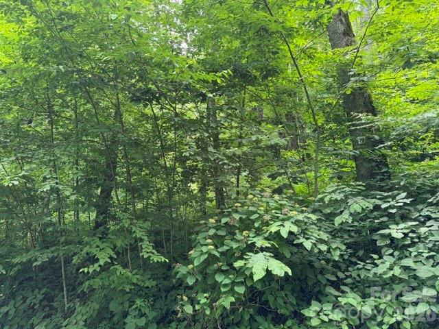Lot 19 Iga Trail 19