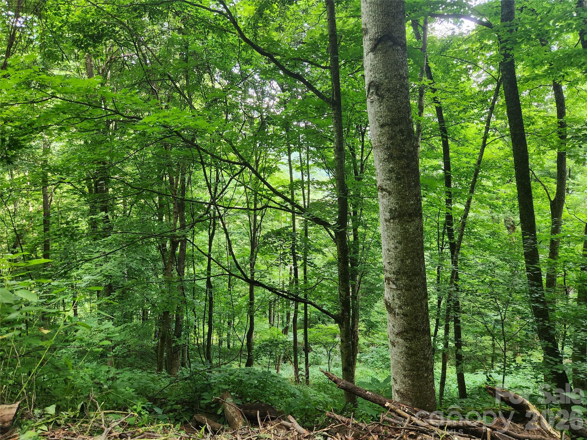 0000 Jacks Knob Road, Weaverville, NC, 28787