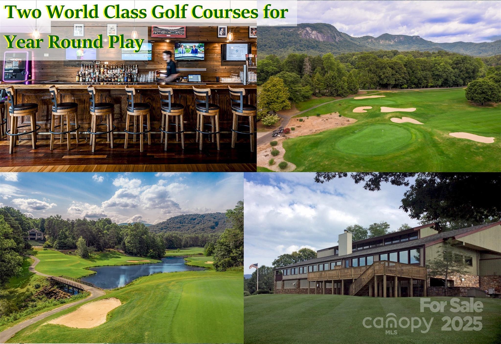 Rumbling Bald on Lake Lure - Land