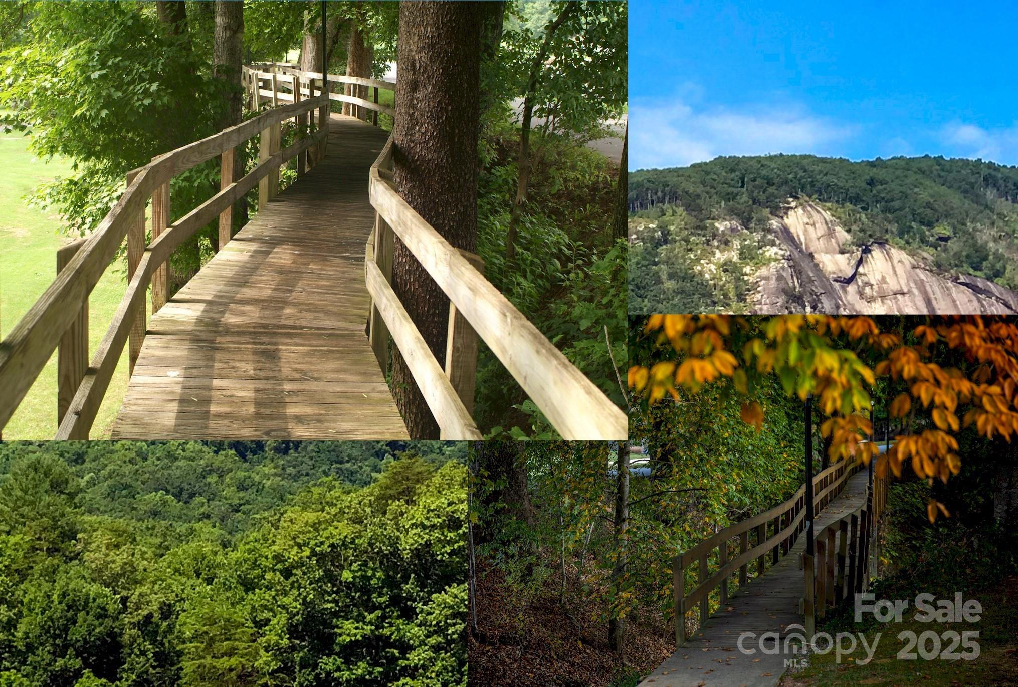 Rumbling Bald on Lake Lure - Land