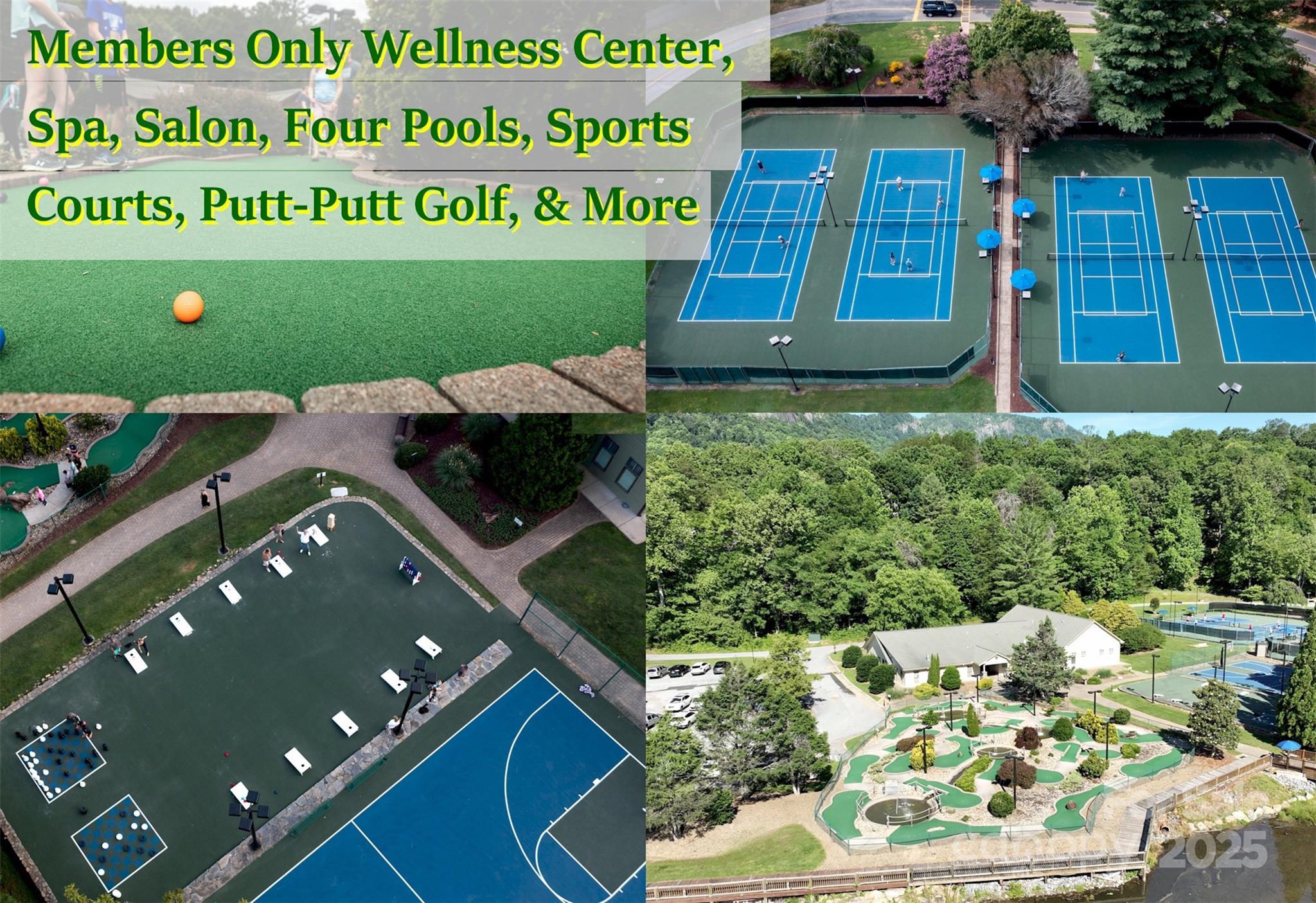 Rumbling Bald on Lake Lure - Land