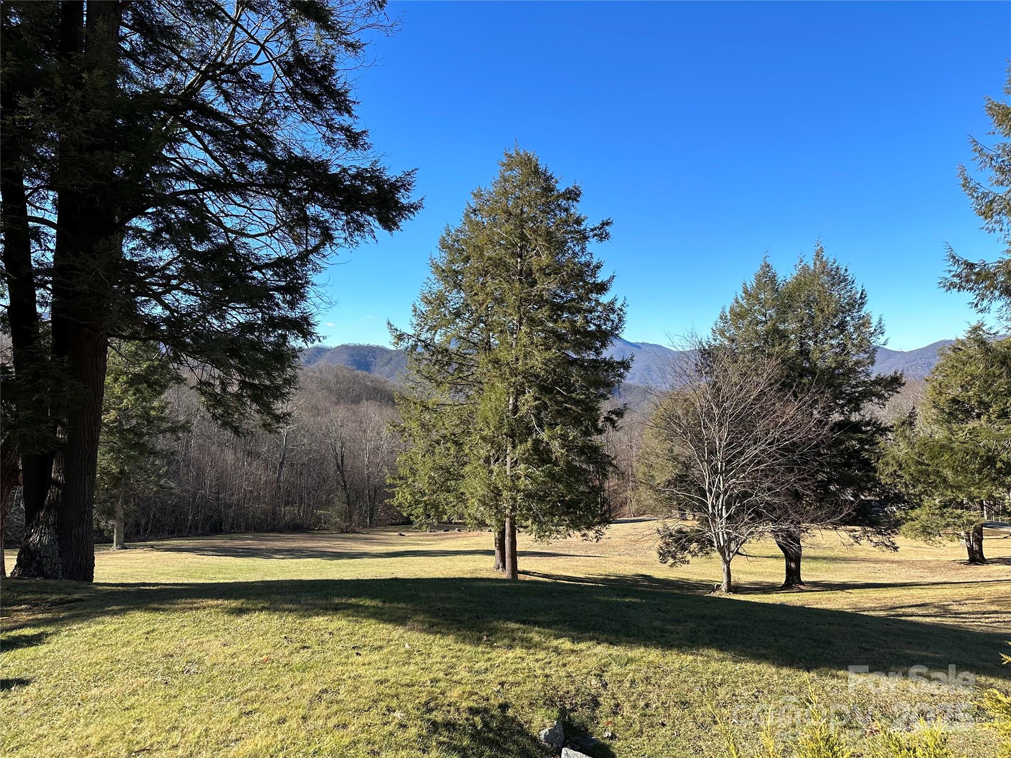 Highland Forest - Land