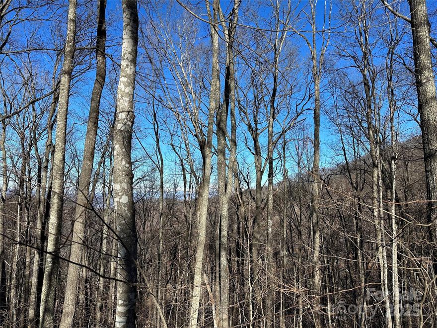 Enjoy fine living in the exclusive gated community of "The Ascot Club at Highland Forest" located in Waynesville! Amenities include: Indoor Saltwater Pool, Fitness Center, Restaurant,Bar,Clubhouse, Business Center (Includes Conference Rooms, Guest Suites and Library) High speed Fibre Optic Internet Available,Fire Pit.Community Park with open air pavillion,Proposed future additions: Horse Shoe Pits, Hiking Trails, & Camping Spots.Long range views with some tree removal!