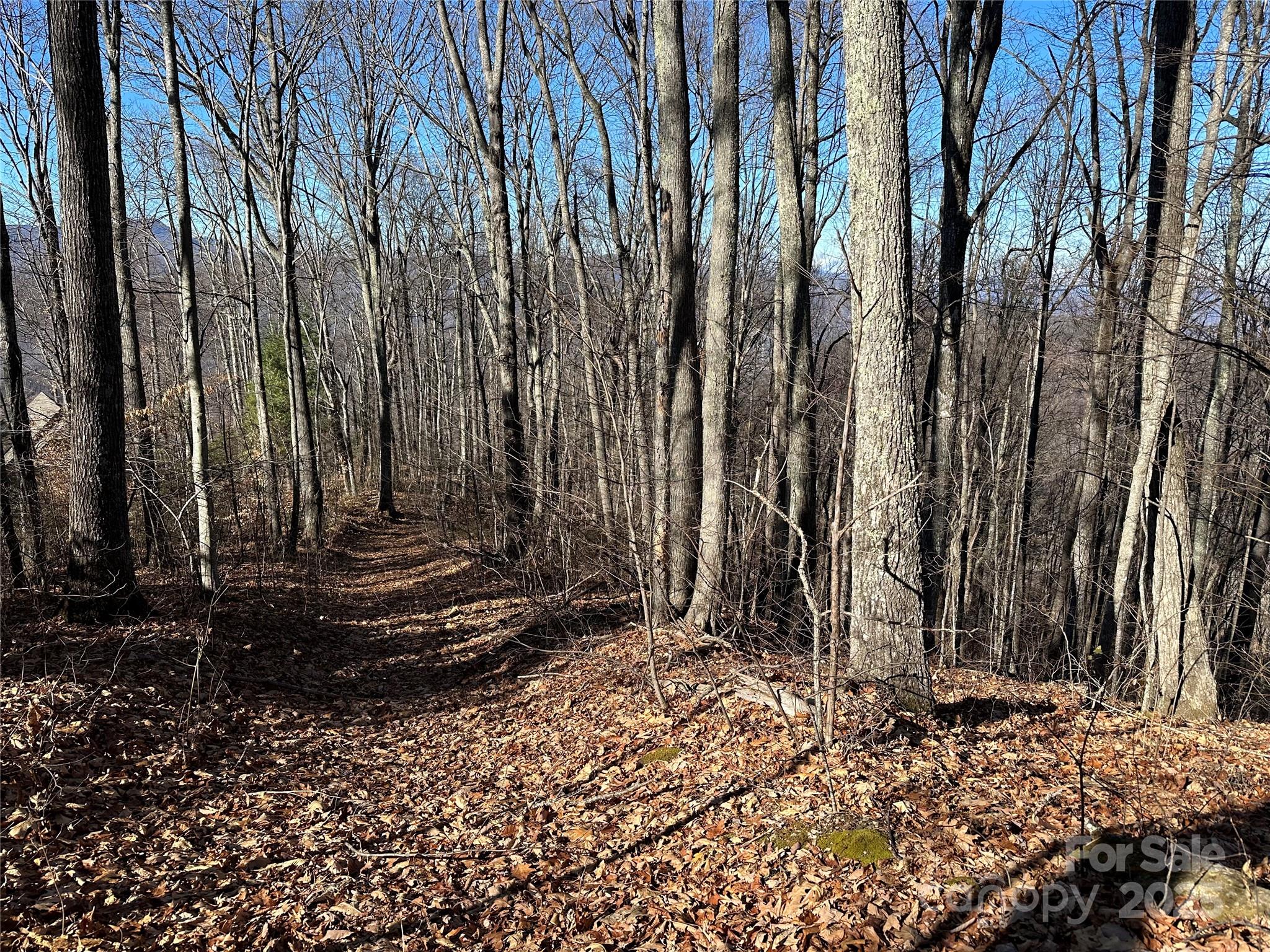 Highland Forest - Land