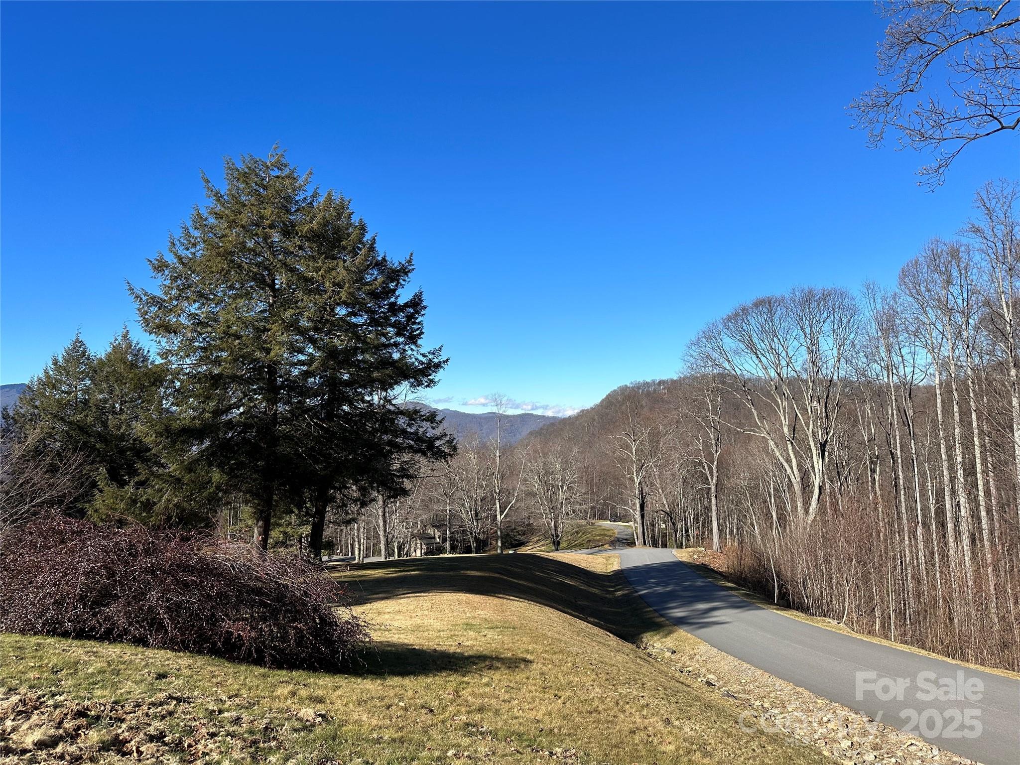 Highland Forest - Land