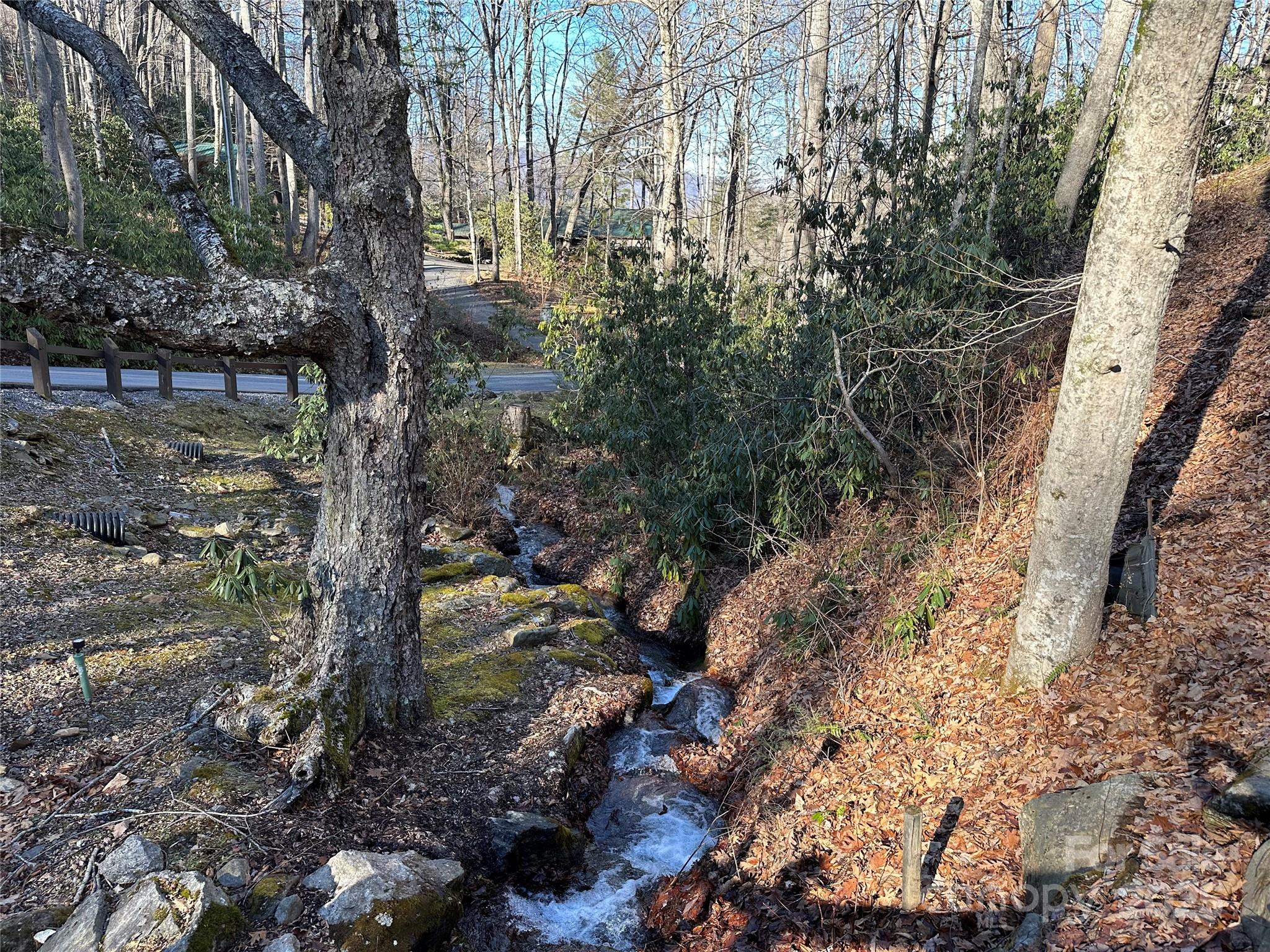 Highland Forest - Land