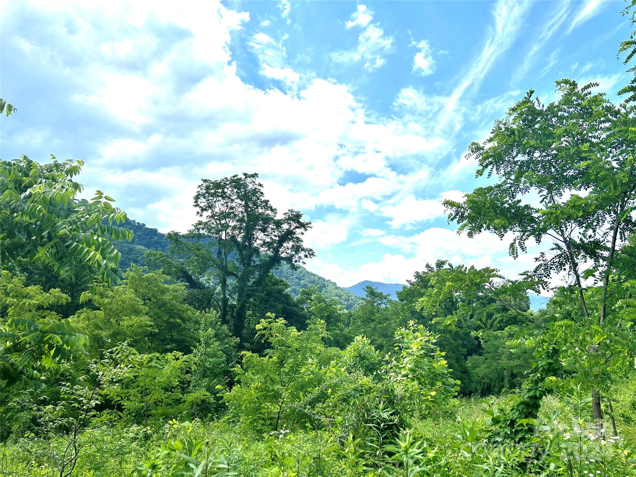 Split Pine Estates - Land