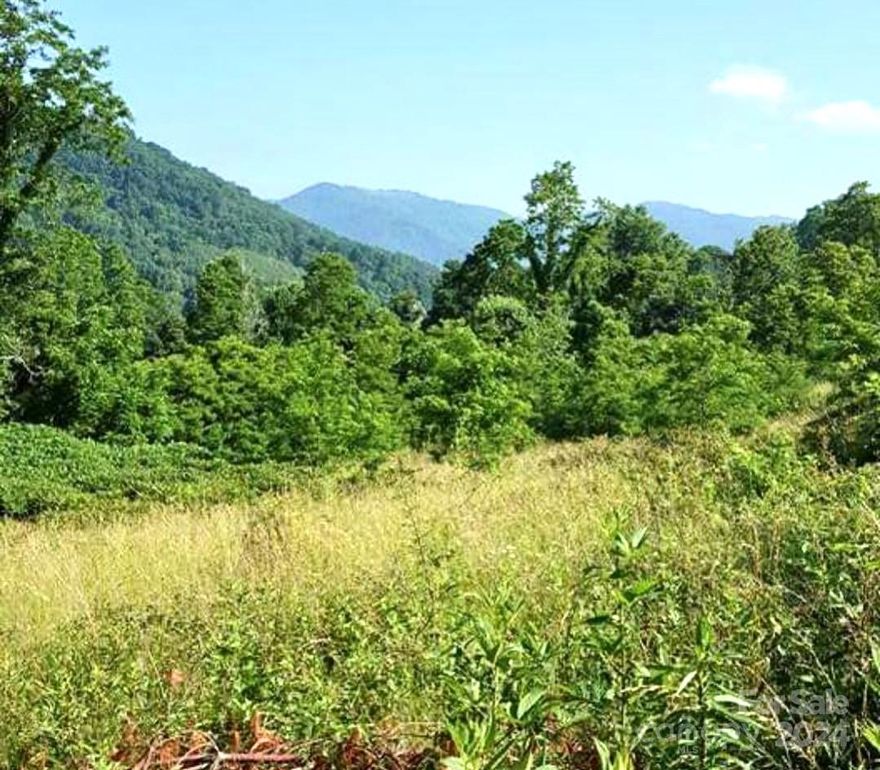 Looking for a nice Lot in Haywood county ? Here it is  1.13 acre Lot ,Split Pine Estates, Clyde  Off Hwy 209. Beautiful corner lot with Year Round Mountain views! Electric and Shared Well in Place.  Light restrictions; No Mf Homes, Modular OK. ST rentals ok; Easy access off Hwy 209  15 Minutes to Waynesville/ Lake Junaluska.  Has small stream!  Per restrictions  Modular homes ok. No single wide homes, or tiny homes allowed. Camper temp ok while building , 
Has water ( shared community well with another lot ) electric access on site.  No septic. But would be easy to perk.